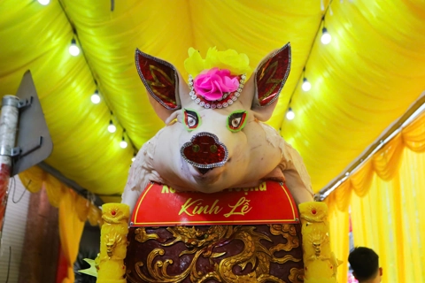 Hanoi: Ancient pig procession festival revived