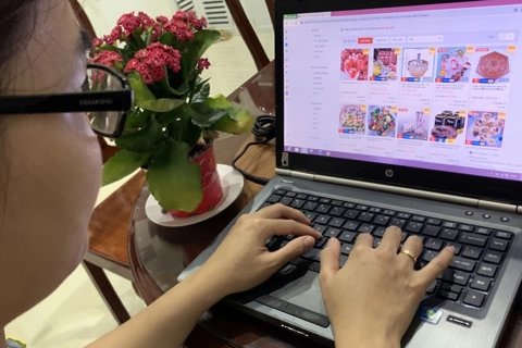Hanoi develops e-commerce database