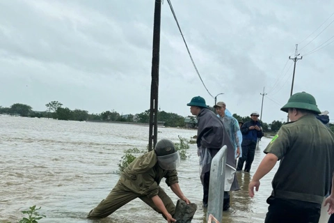 Hanoi upgrades dykes for natural disaster prevention
