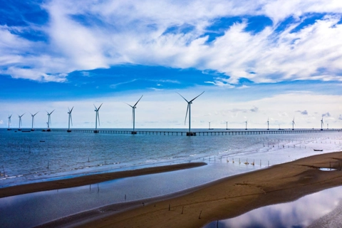 Vietnam scales back plan to boost offshore wind