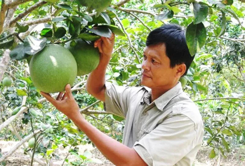 Hình ảnh 1