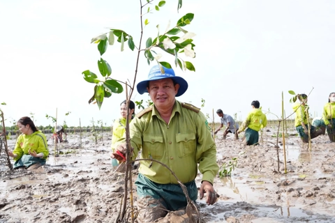 Vietnam urged to strengthen climate cooperation and explore green financing tools