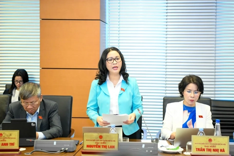 Policymakers back proposals to streamline Law on International Treaties