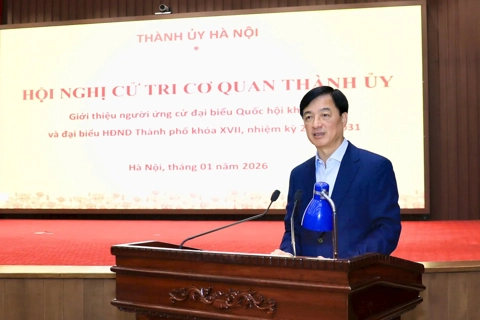 Hanoi Party chief nominated for 16th National Assembly