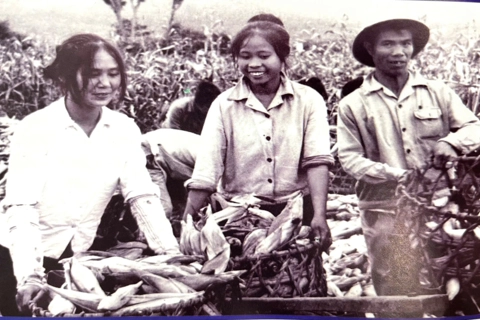 Hanoi youth who built Lam Dong from scratch