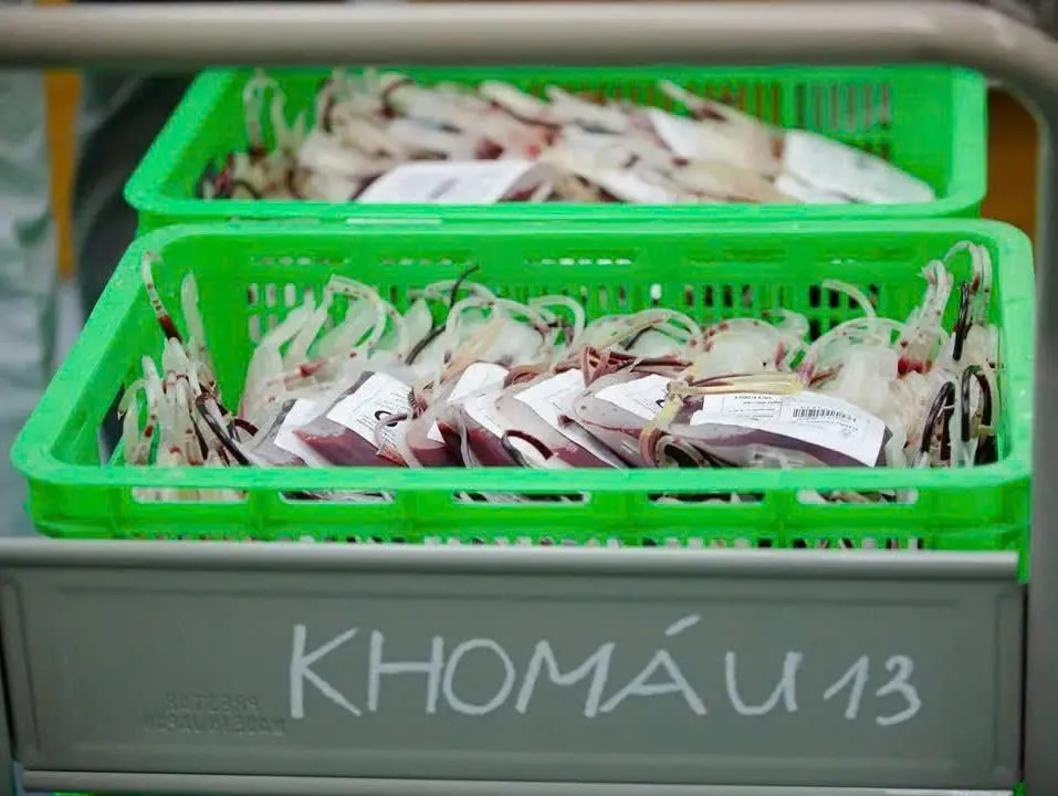 Hình ảnh 7