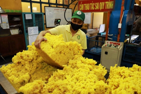 Vietnam targets US$3.3 billion rubber exports for 2025