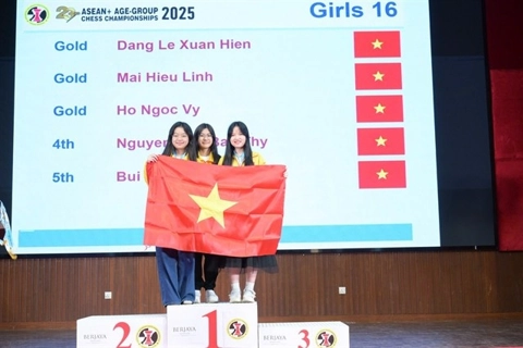 Vietnamese chess team wins big at Southeast Asian championship
