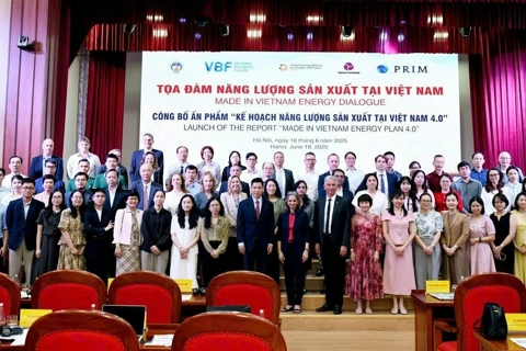 Vietnam urged to promotes energy transition