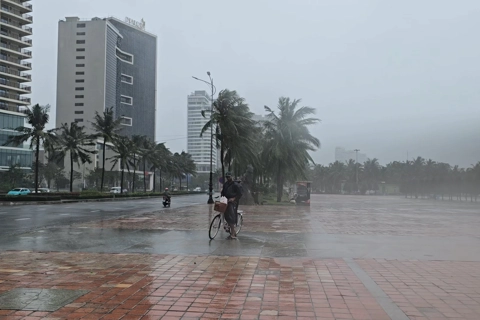 Typhoon Kalmaegi sweeps central Vietnam with torrential rain