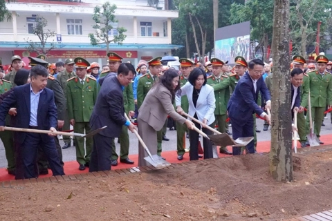 Tree planting campaign launched in Hanoi