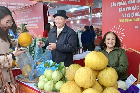Tet Trade Fair brings traditional goods to Suburban Hanoi
