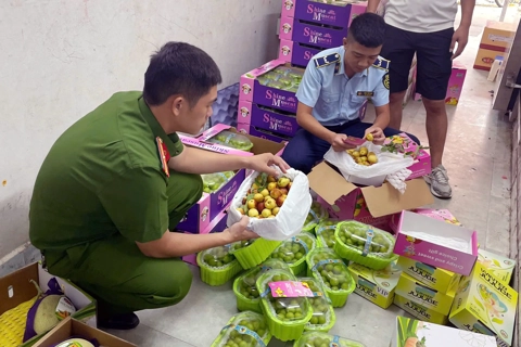Counterfeit goods hurts Vietnamese brands
