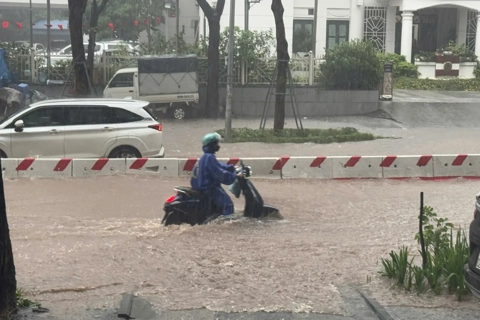 Typhoon Matmo makes landfall, causes heavy rain in northern Vietnam