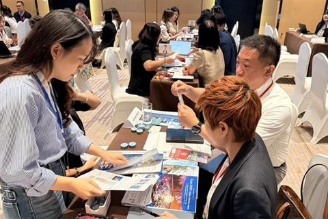 Exploring Vietnam-Japan untapped tourism potential  