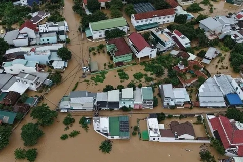Embassies and overseas Vietnamese rally aid for flood-hit communities back home
