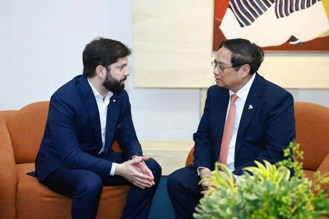 Vietnam enhances multifaceted cooperation with Chile