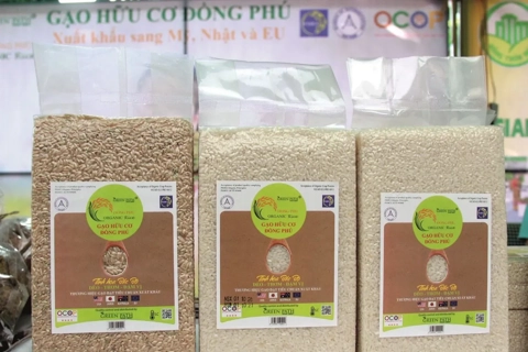 Vietnam-EU trade surges 46.5% after five years of EVFTA