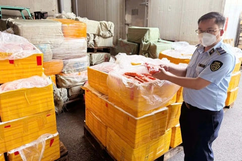 Hanoi works to tighten control over food safety 
