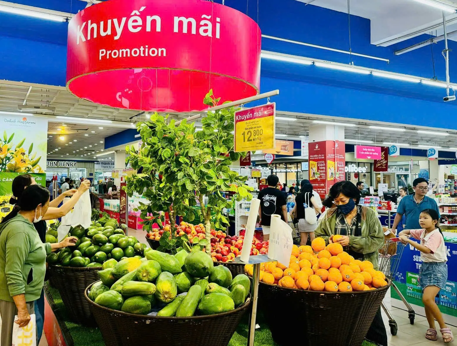 Hình ảnh 1