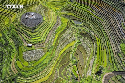Explore hidden charm in terraced fields in northern Vietnam