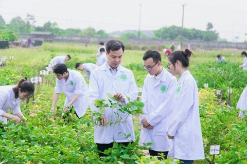 Agriculture and environment sector - key pillar of national economy: Party chief