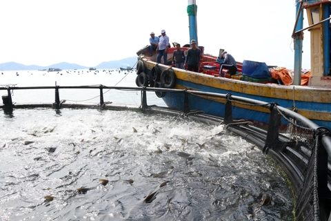 Vietnam looks to boost agro-forestry-fishery exports to the EU