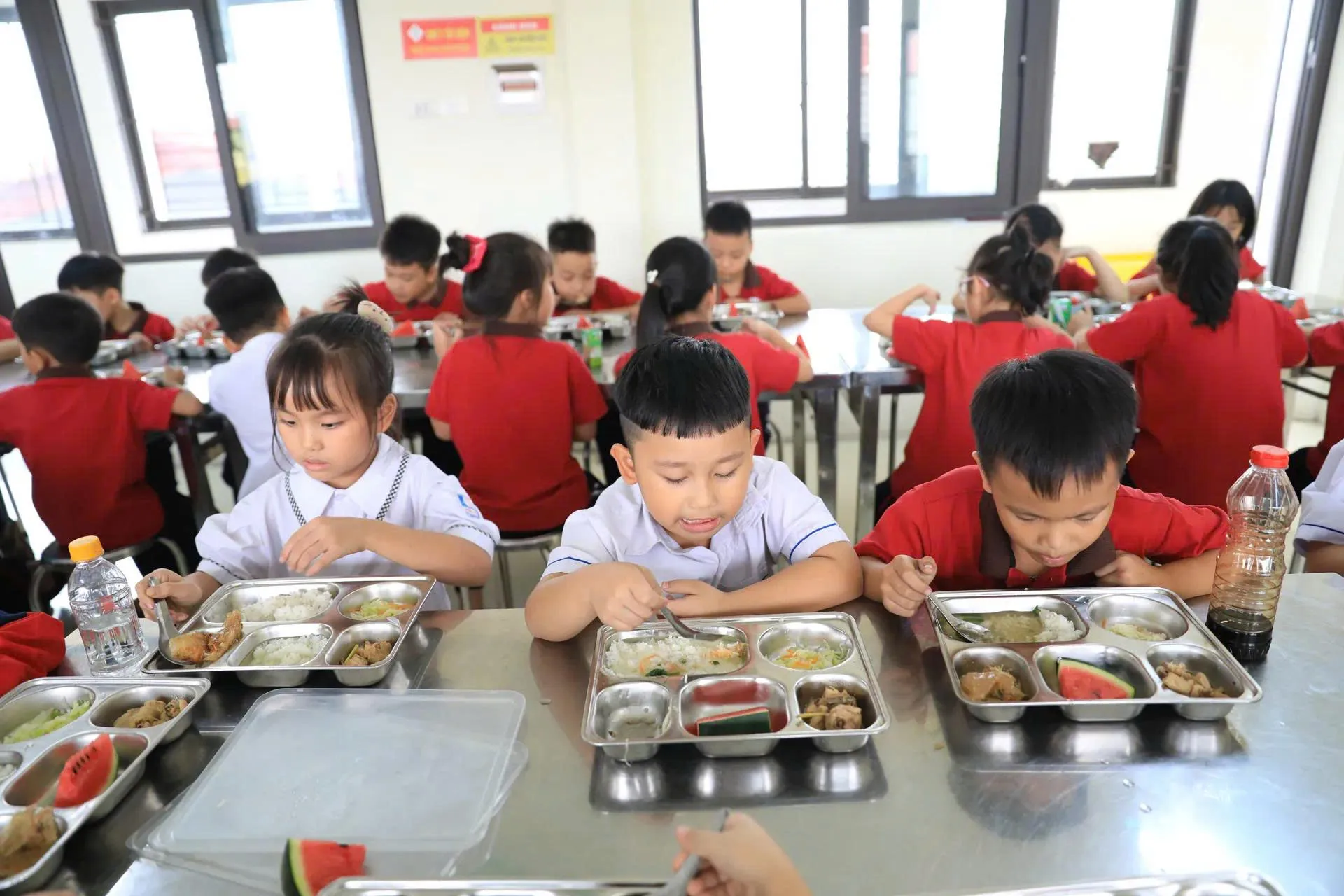 Hình ảnh 2