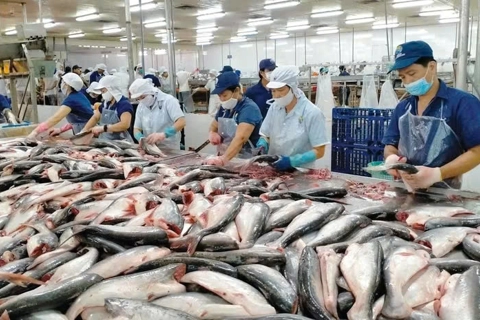 Vietnam, Brazil enterprises boost ties