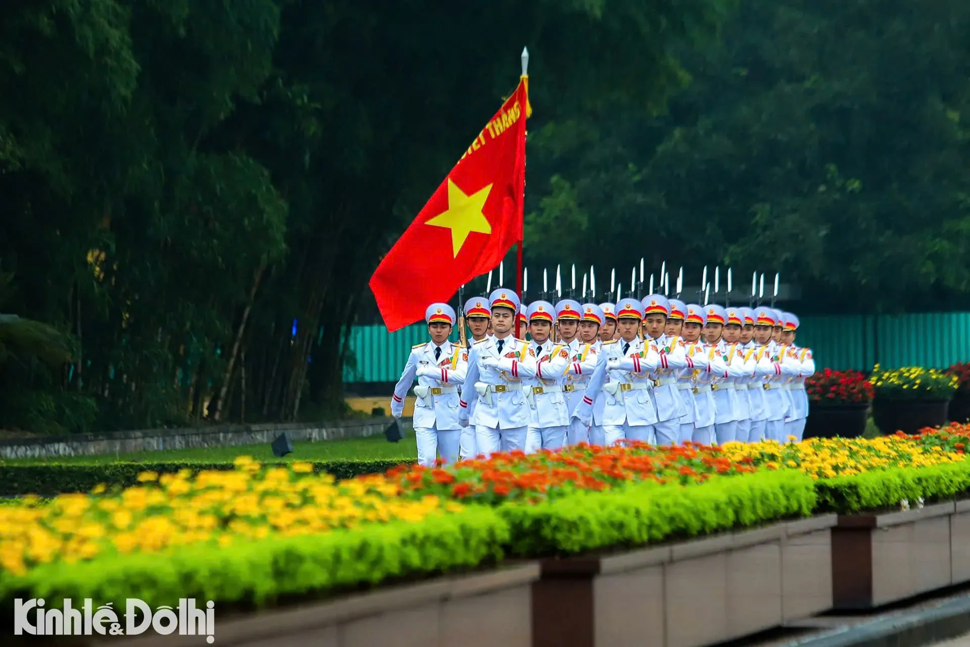 Hình ảnh 1