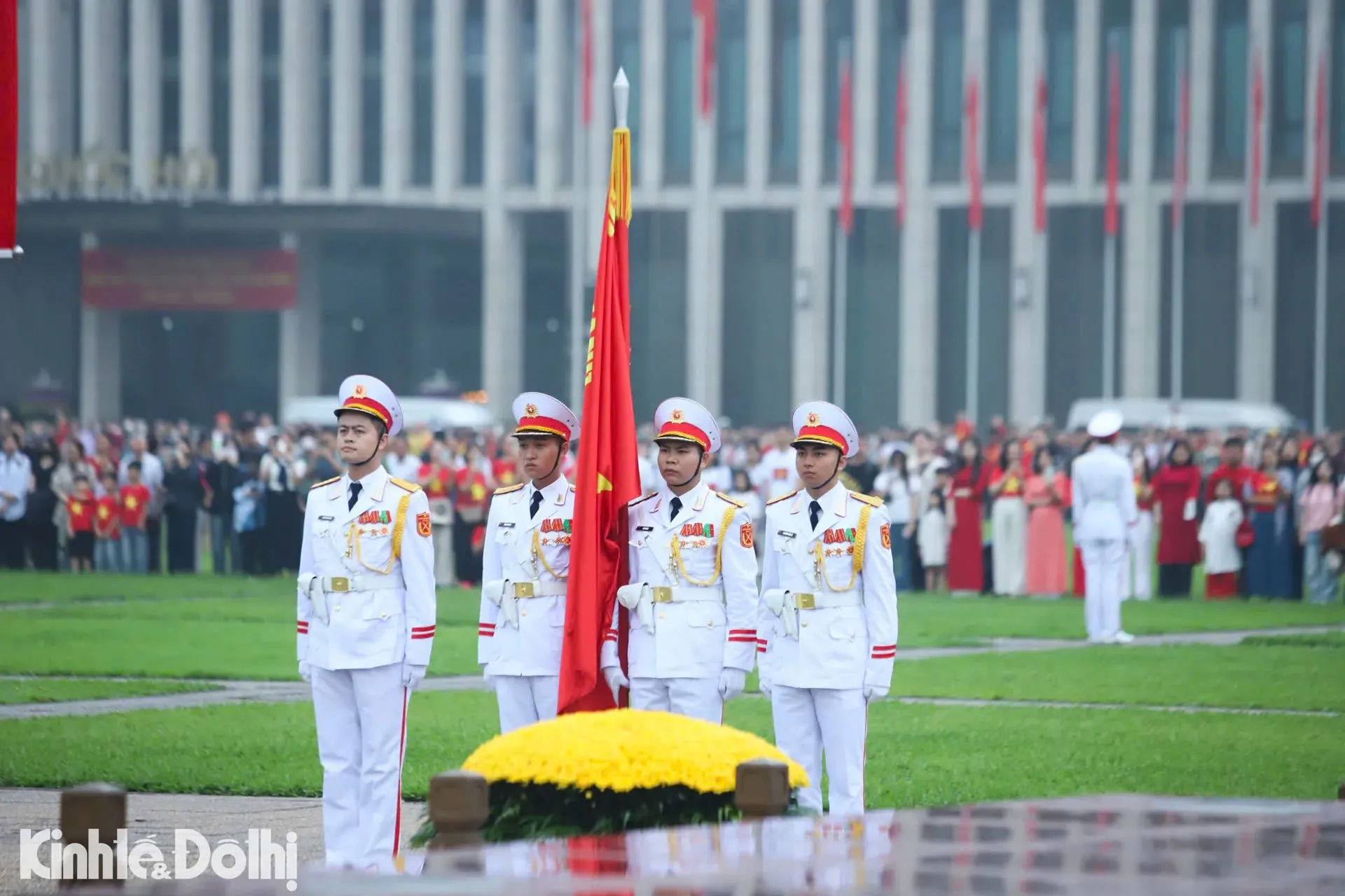 Hình ảnh 3