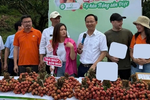 Bac Ninh’s leader sells tons of lychee via livestream
