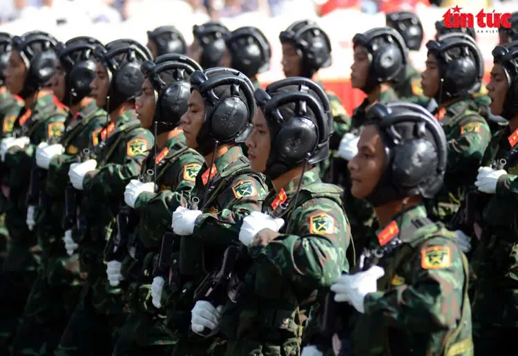 Hình ảnh 12