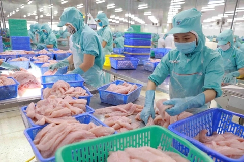 Vietnamese economy to remain resilient in 2025-2026: ADB