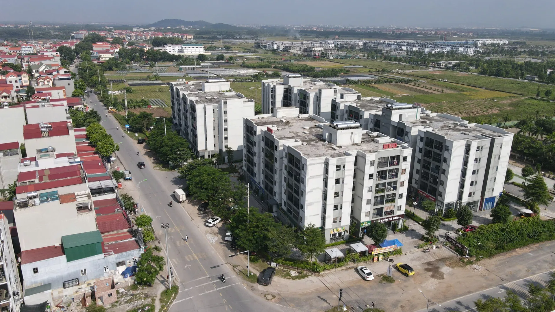 Hình ảnh 1