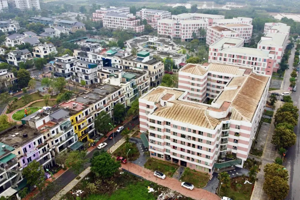 Hình ảnh 1