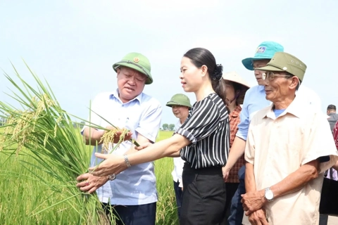Hanoi adopts new resolution to accelerate modern, high-tech agricultural transformation