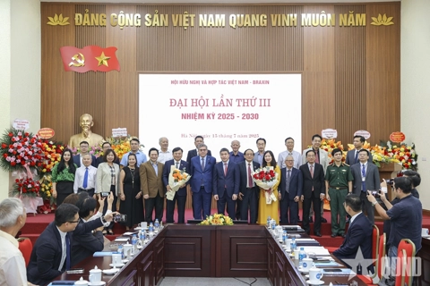 Vietnamese-Portuguese dictionary to go online soon