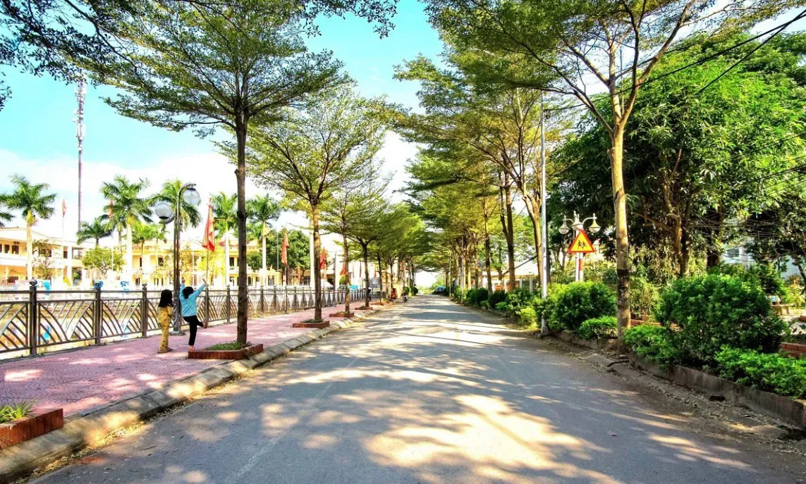 Hình ảnh 1