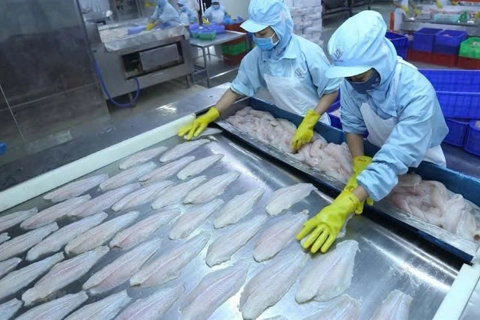 Vietnam’s agriculture exports reach record $70 billion amid shifting global trade
