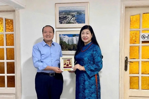 Vietnam eyes stronger economic ties with Egypt through Hanoi-Cairo cooperation