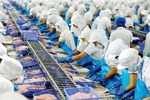 Vietnam becomes Singapore’s 3rd largest seafood supplier in 2025