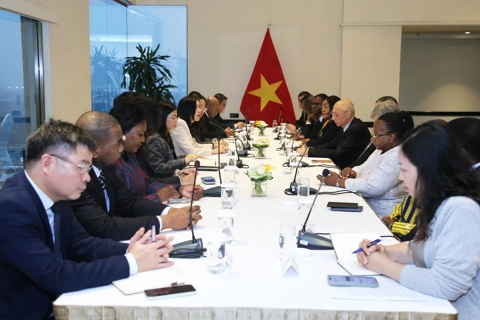 Vietnam reaffirms role as reliable partner at meeting with non-resident ambassadors
