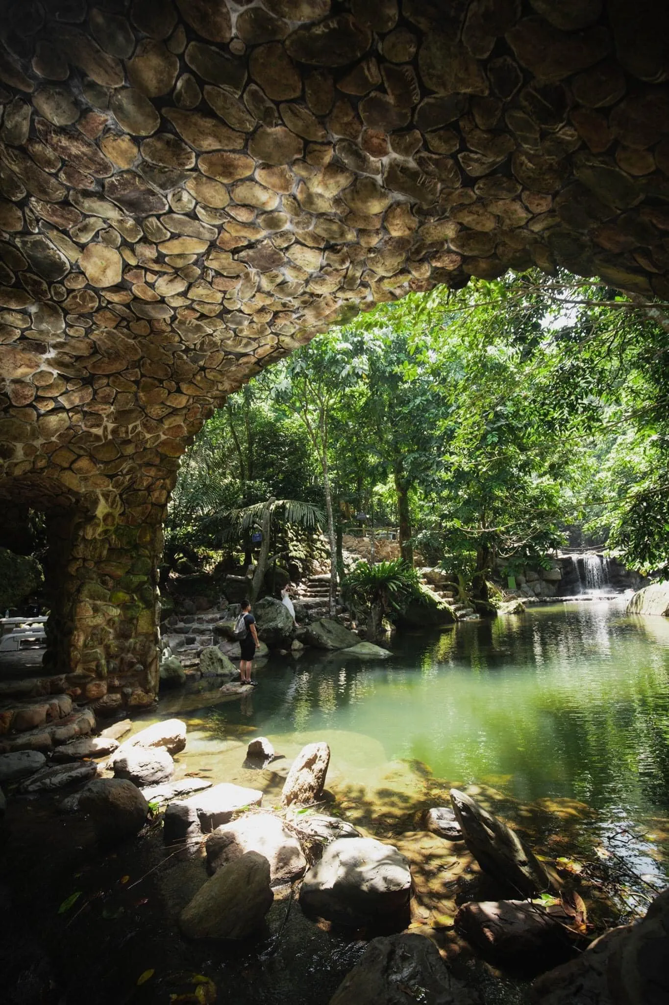 Hình ảnh 5