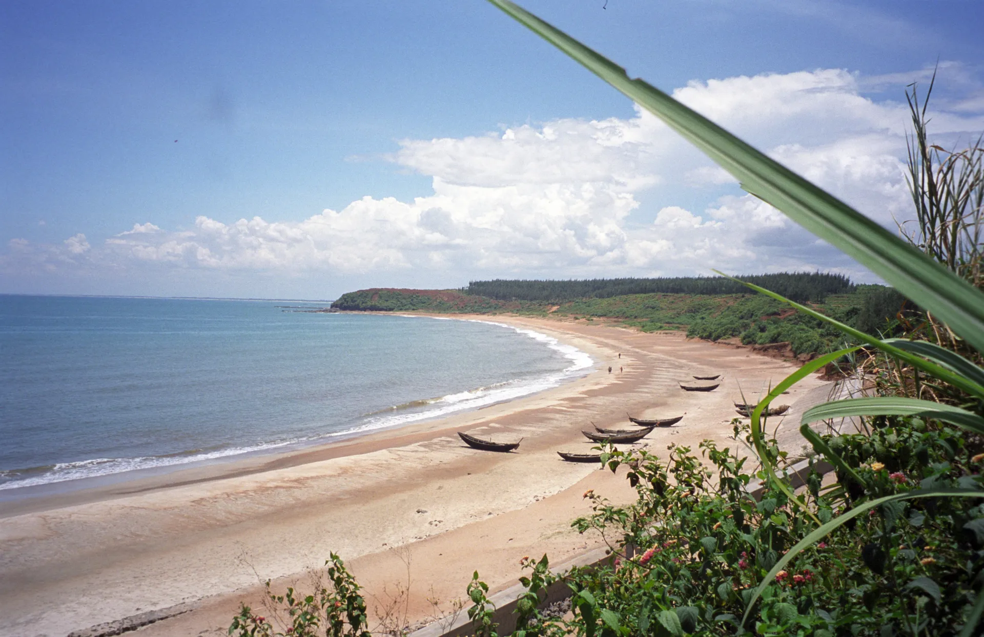 Hình ảnh 4