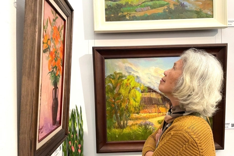 Green Land captures Vietnam’s living landscapes