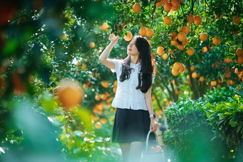 Vietnam’s four-day New Year break fuels travel surge 