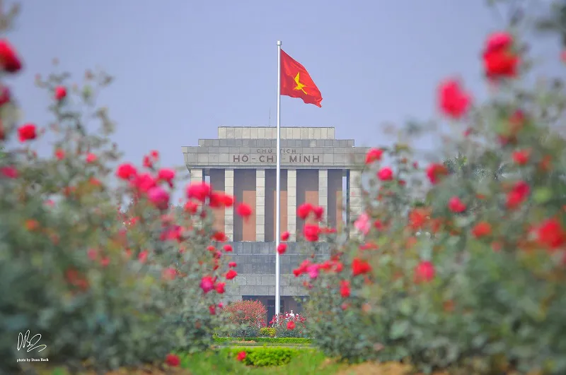 Hình ảnh 2
