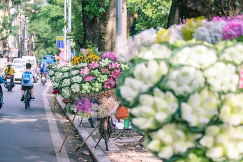 Vietnamese parents shift to culture-focused domestic travel for family bonding