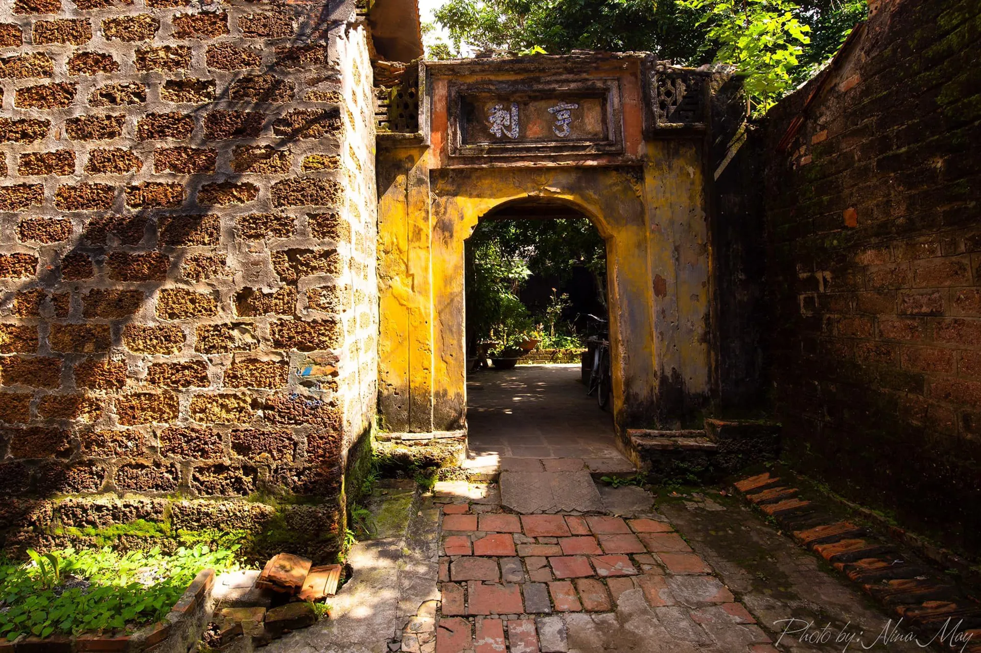 Hình ảnh 1